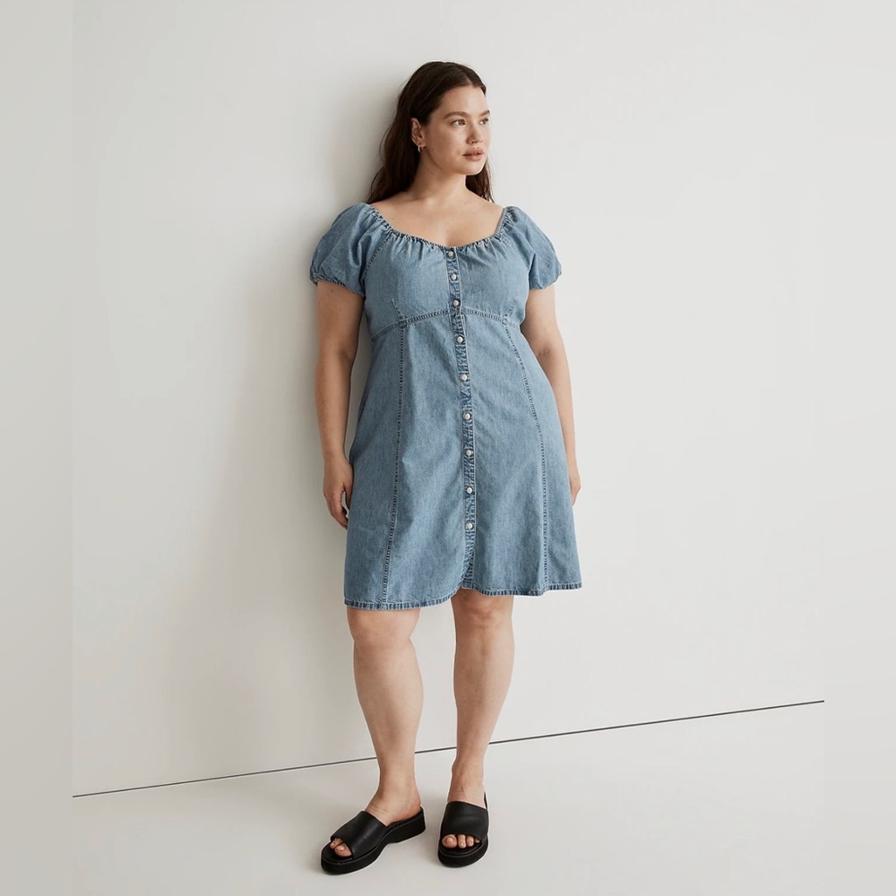 Madewell Denim Mini (plus size)
